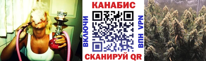 Купить закладки  Рассказово  Каннабис сатива 